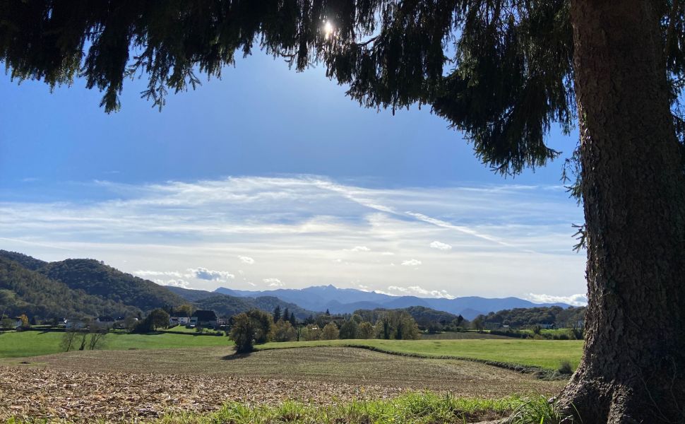 Belle Maison Souletine à la Lisière du village avec Vue Dégagé des Montagnes